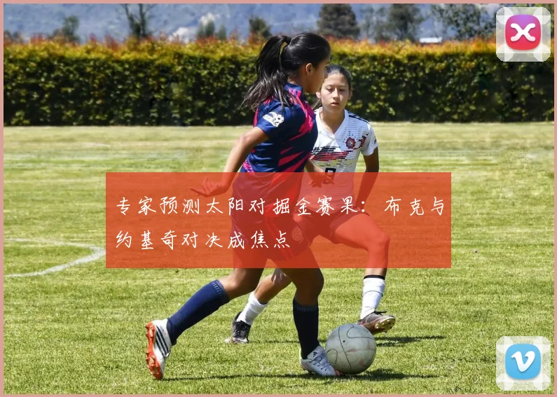 专家预测太阳对掘金赛果：布克与约基奇对决成焦点