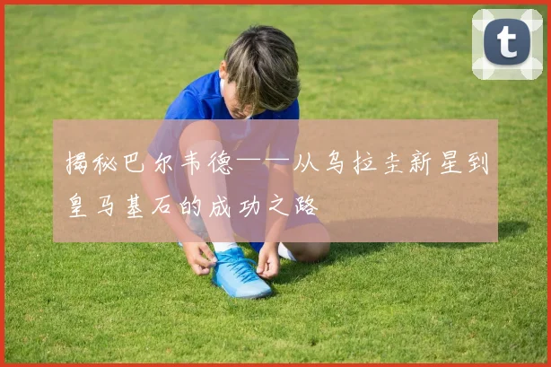 揭秘巴尔韦德——从乌拉圭新星到皇马基石的成功之路