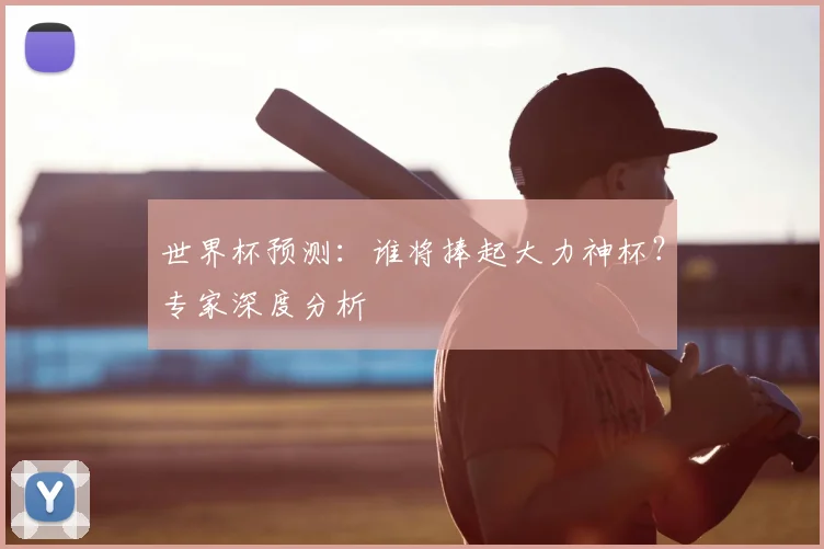世界杯预测：谁将捧起大力神杯？专家深度分析