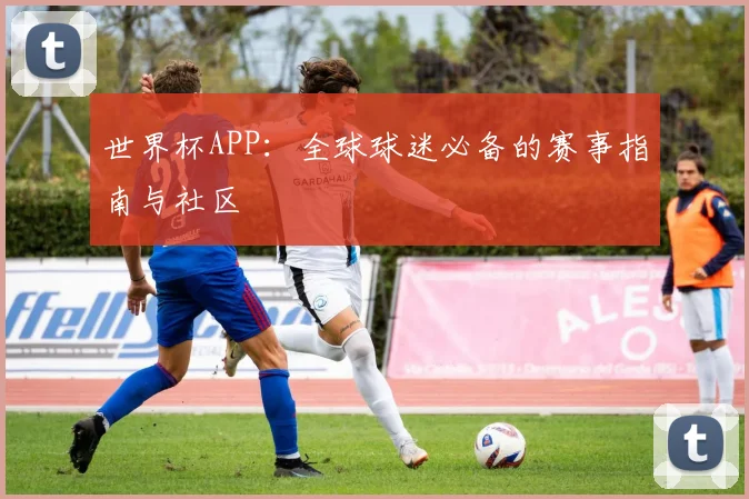 世界杯APP：全球球迷必备的赛事指南与社区