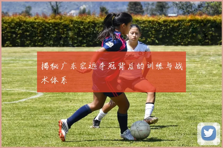 揭秘广东宏远夺冠背后的训练与战术体系